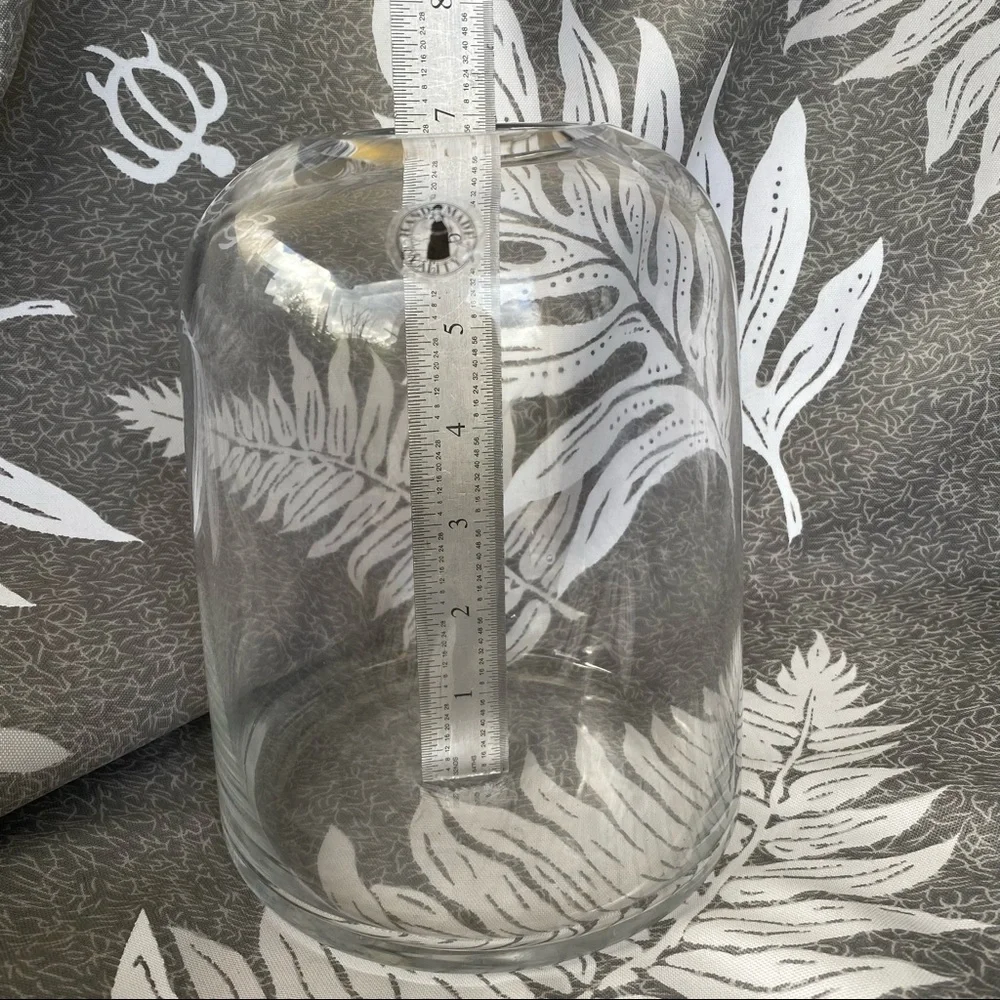 NEW Open Top Dome Glass Terrarium